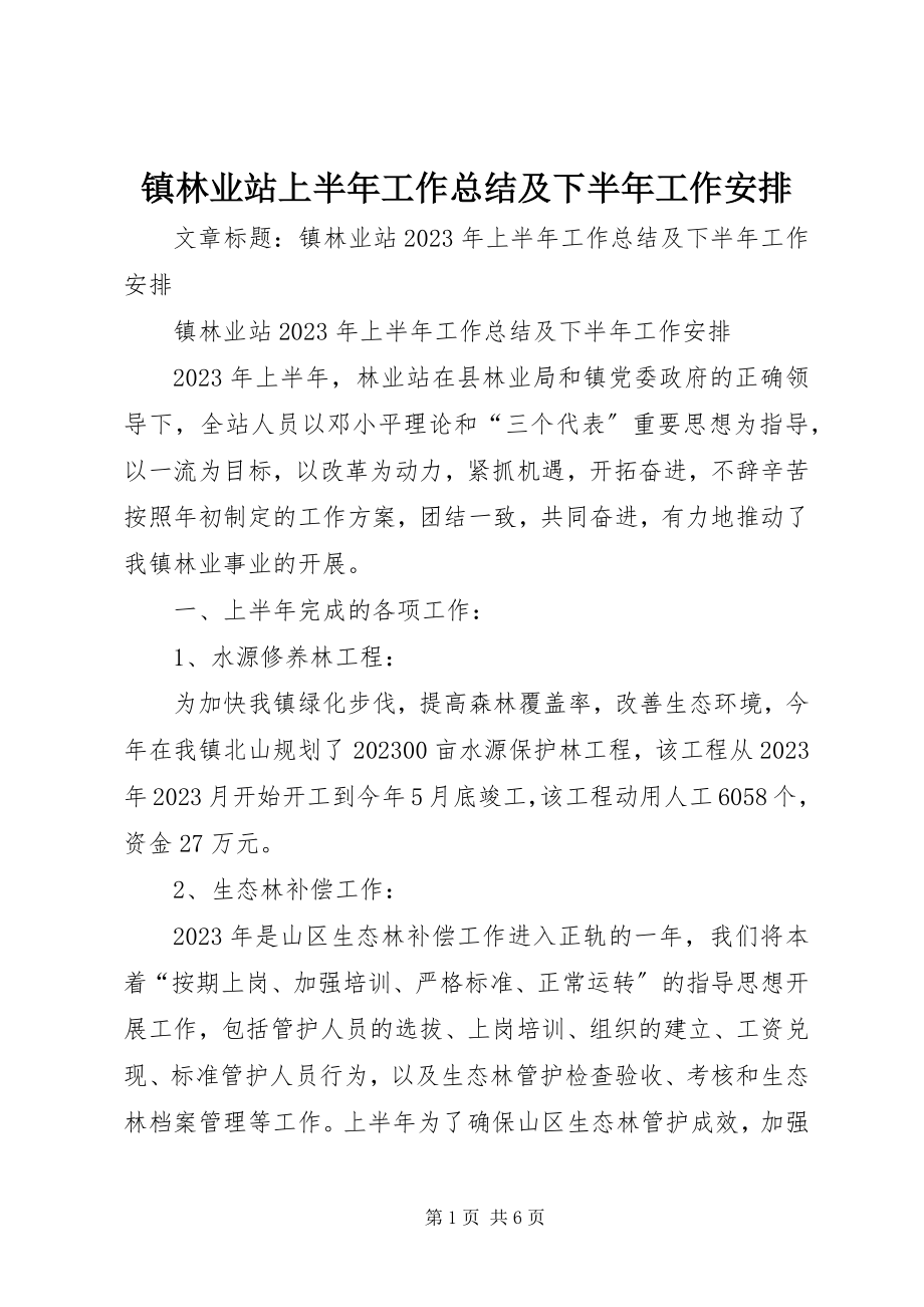 2023年镇林业站上半年工作总结及下半年工作安排.docx_第1页