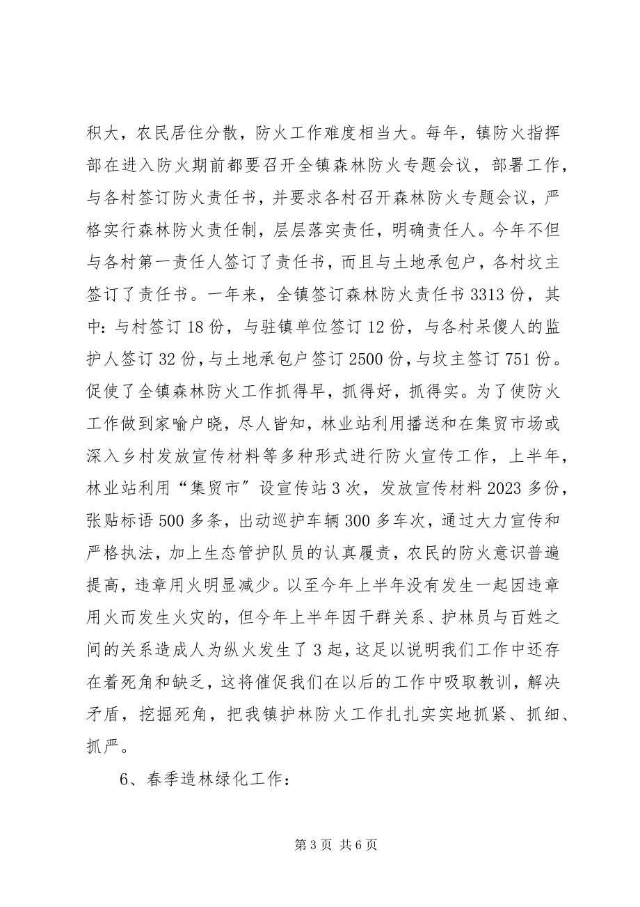 2023年镇林业站上半年工作总结及下半年工作安排.docx_第3页