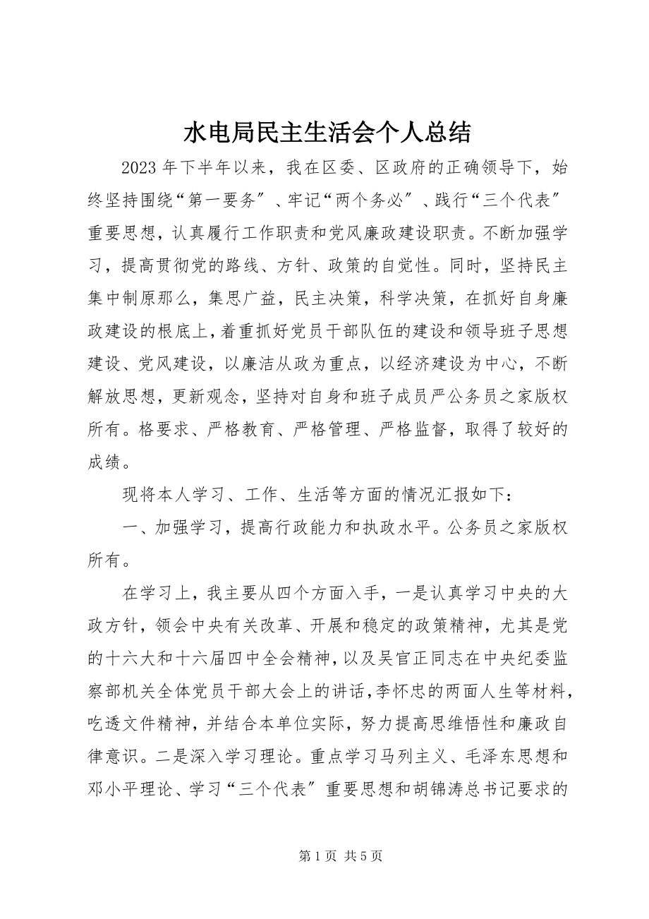 2023年水电局民主生活会个人总结.docx_第1页