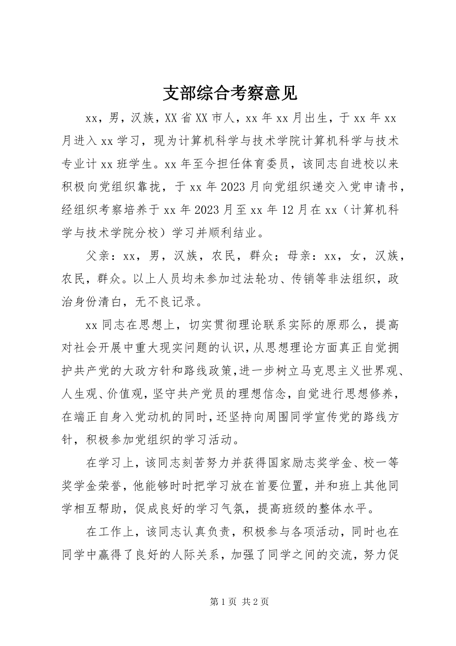 2023年支部综合考察意见.docx_第1页