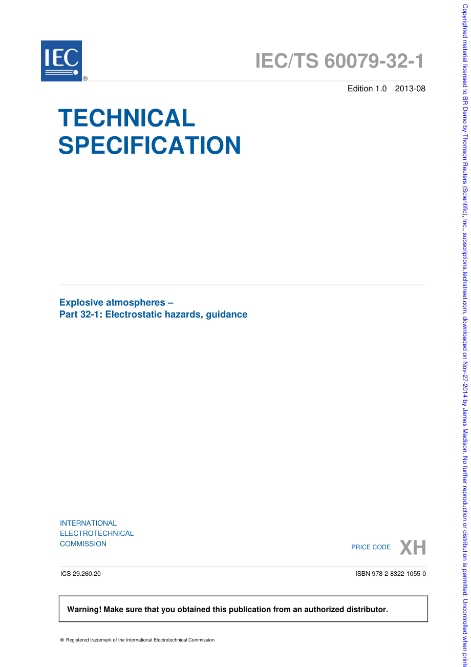 IEC_TS_60079-32-1-2013.pdf_第3页