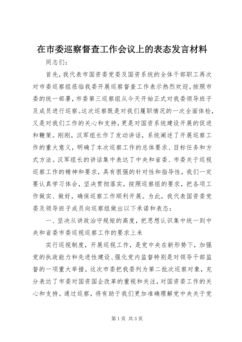 2023年在市委巡察督查工作会议上的表态讲话材料.docx_第1页