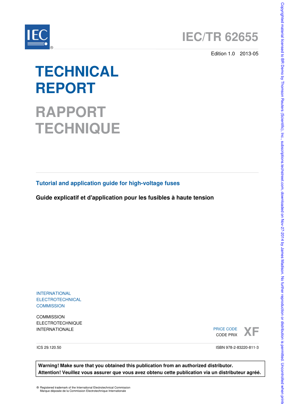 IEc_TR_62655-2013.pdf_第3页