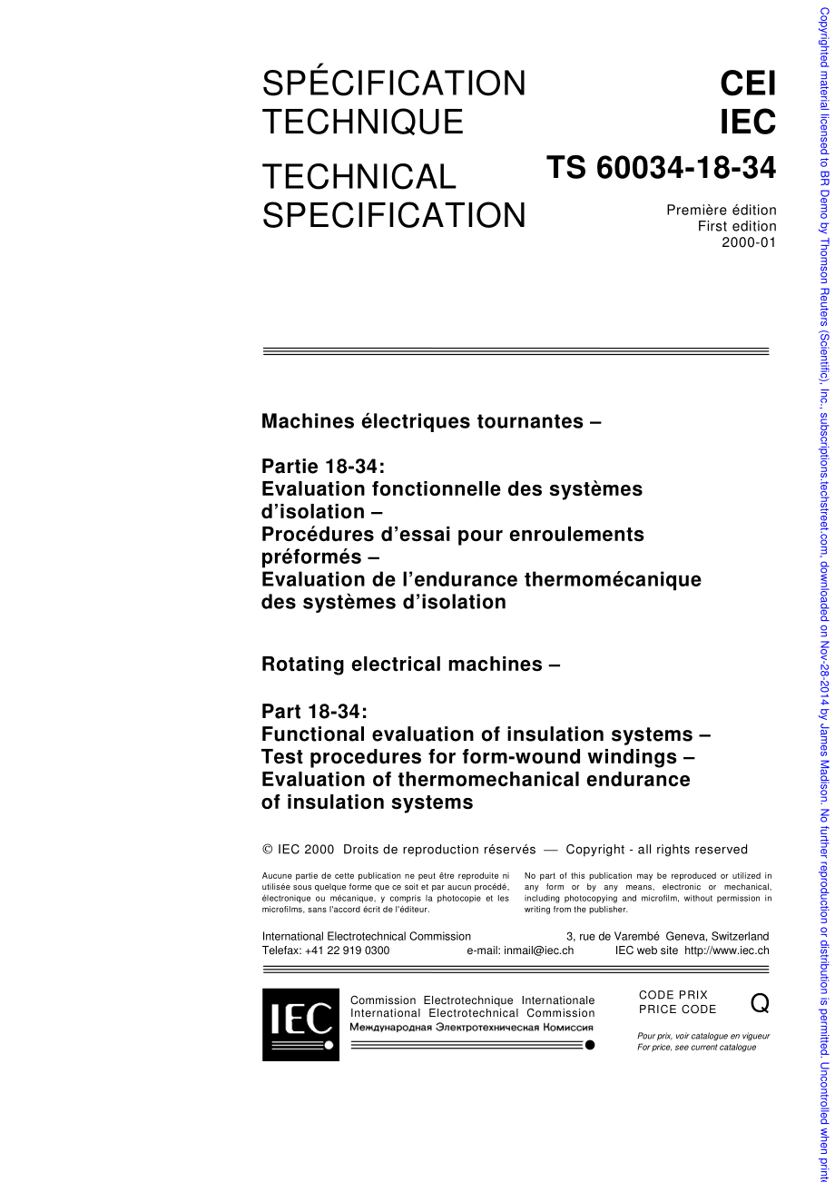 IEC_TS_60034-18-34-2000.pdf_第3页