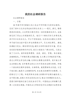 2023年我的社会调研报告.docx