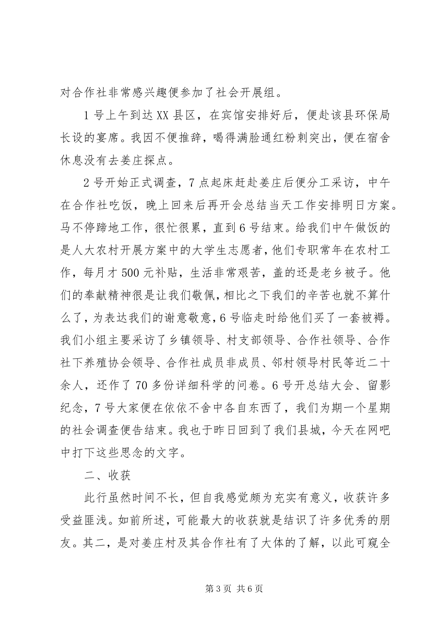 2023年我的社会调研报告.docx_第3页