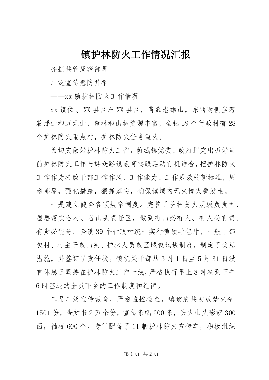 2023年镇护林防火工作情况汇报.docx_第1页