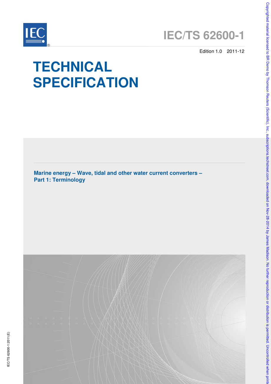 IEC_TS_62600-1-2011.pdf_第1页