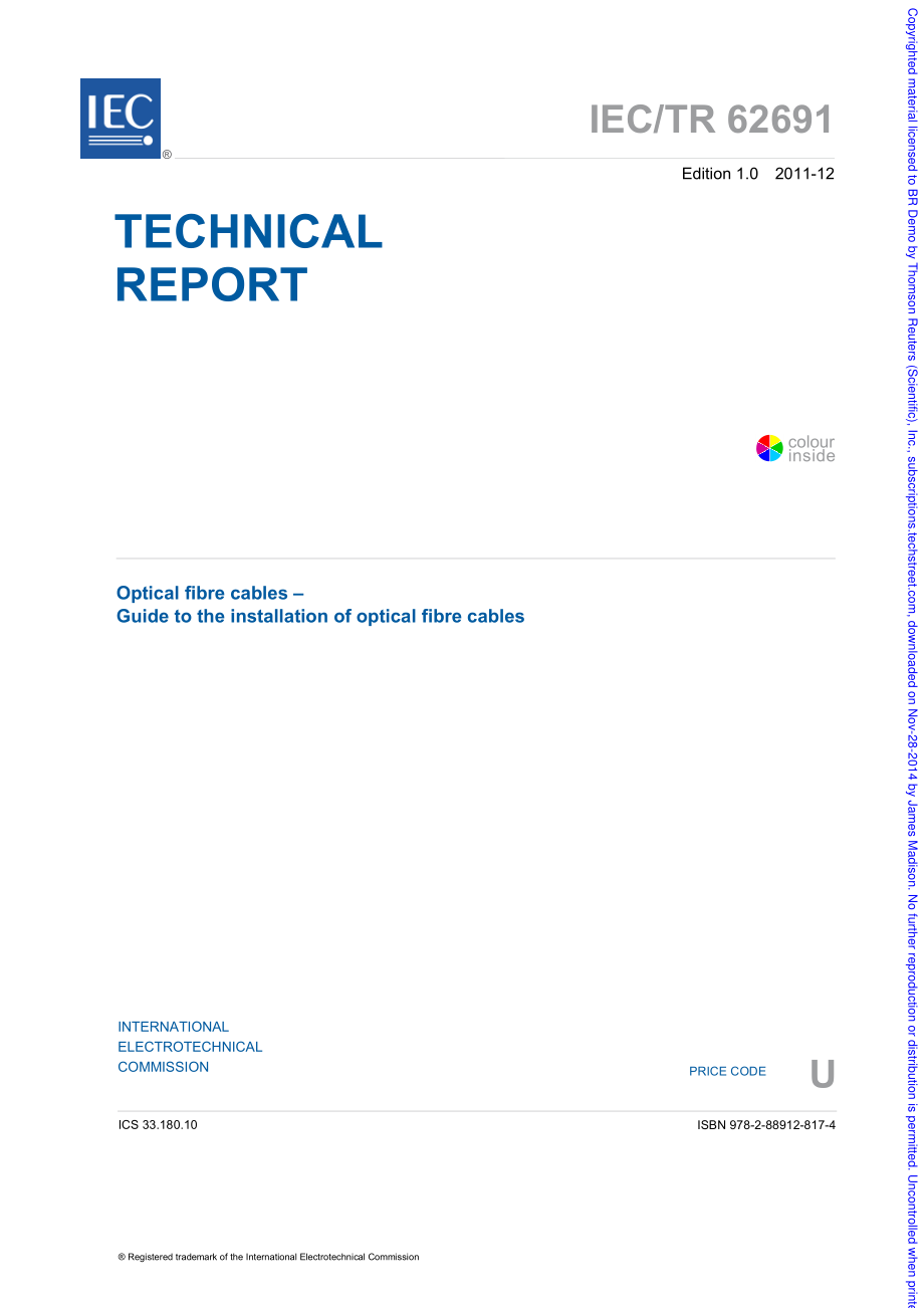 IEC_TR_62691-2011.pdf_第3页