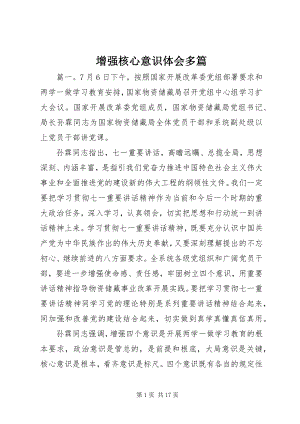 2023年增强核心意识体会多篇.docx