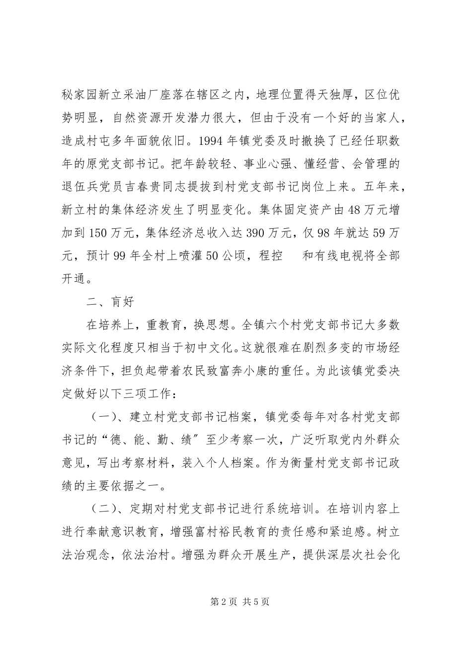 2023年怎样抓好村支部书记队伍建设.docx_第2页