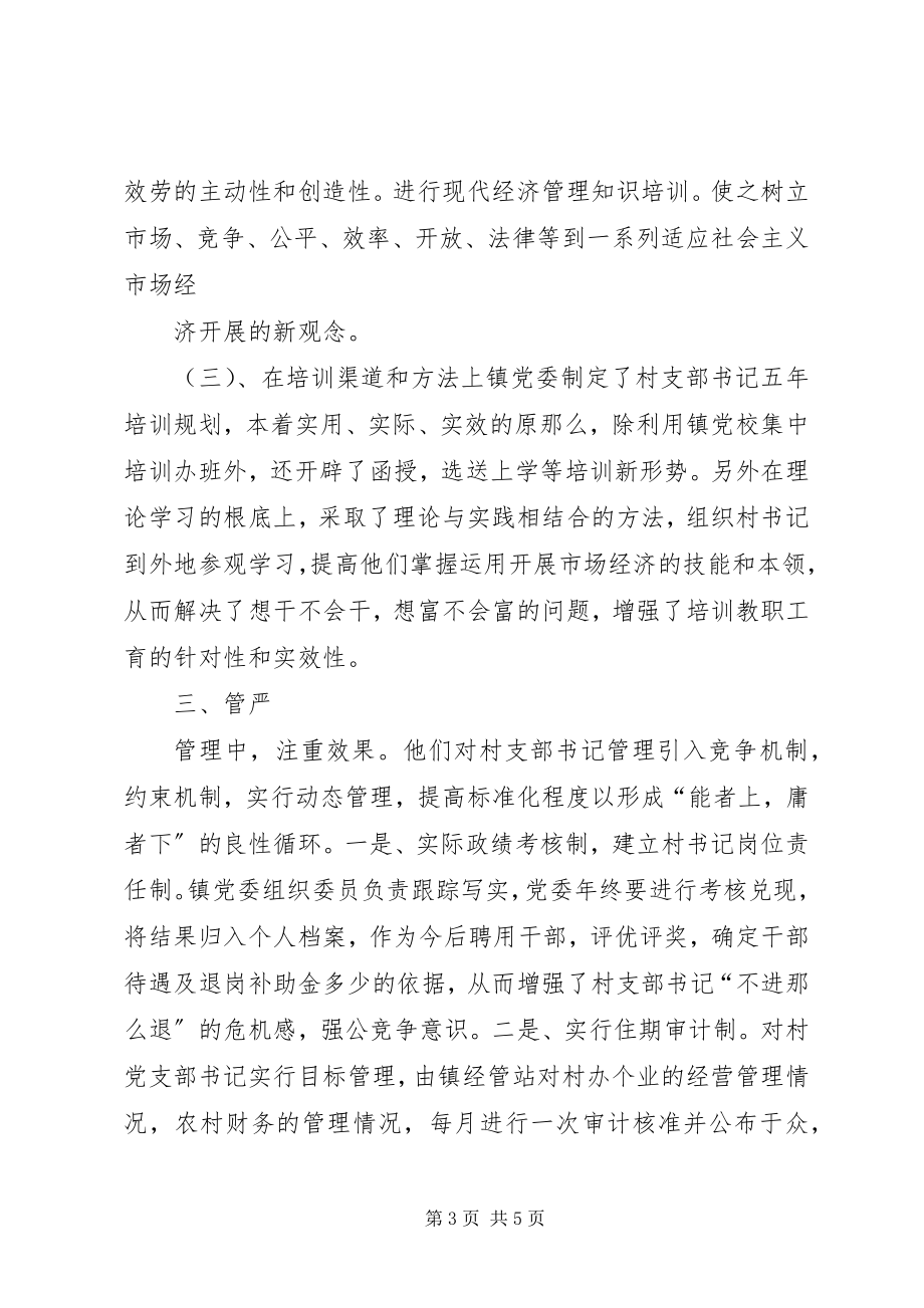 2023年怎样抓好村支部书记队伍建设.docx_第3页