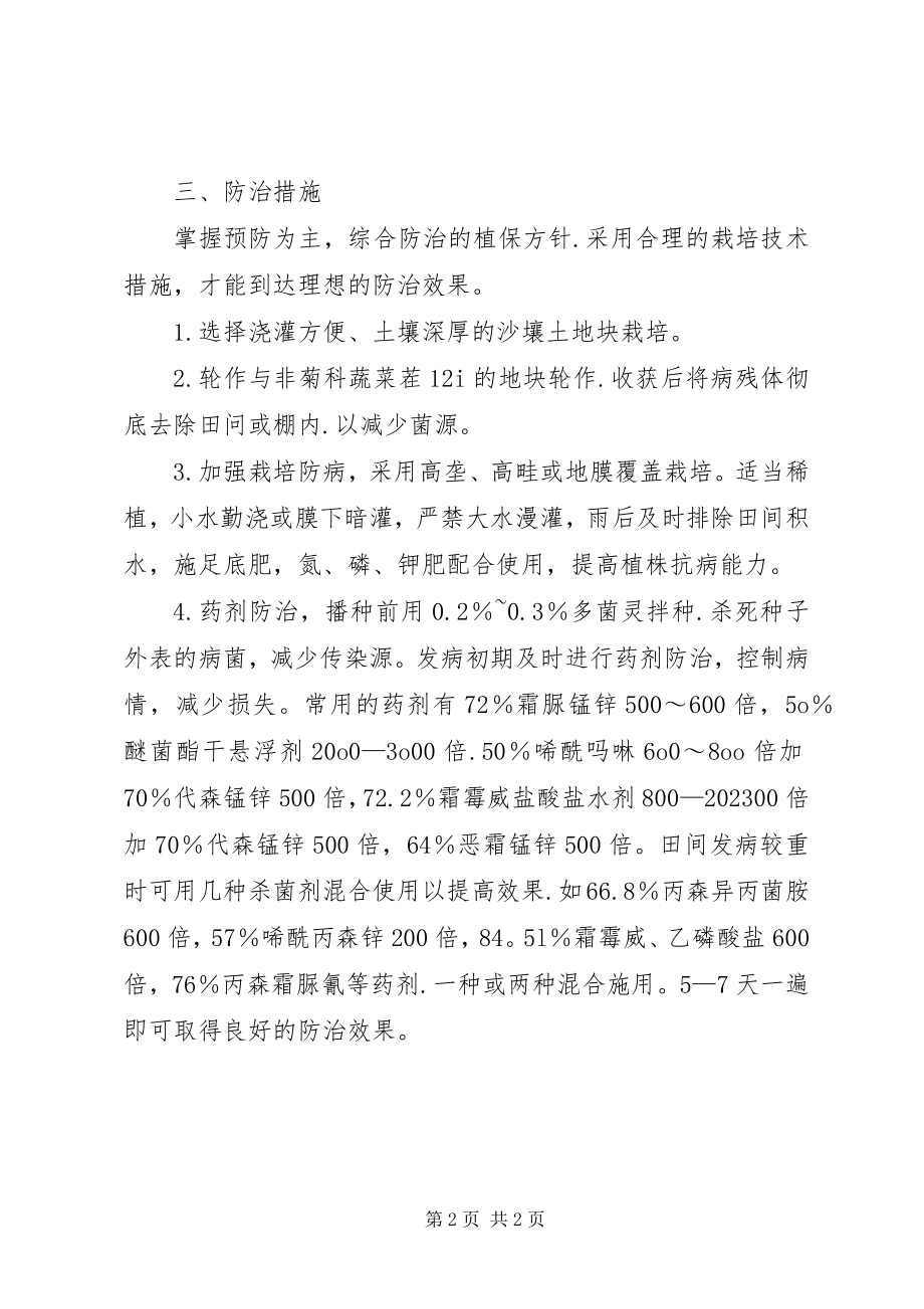 2023年长叶莴苣霜霉病治理对策.docx_第2页