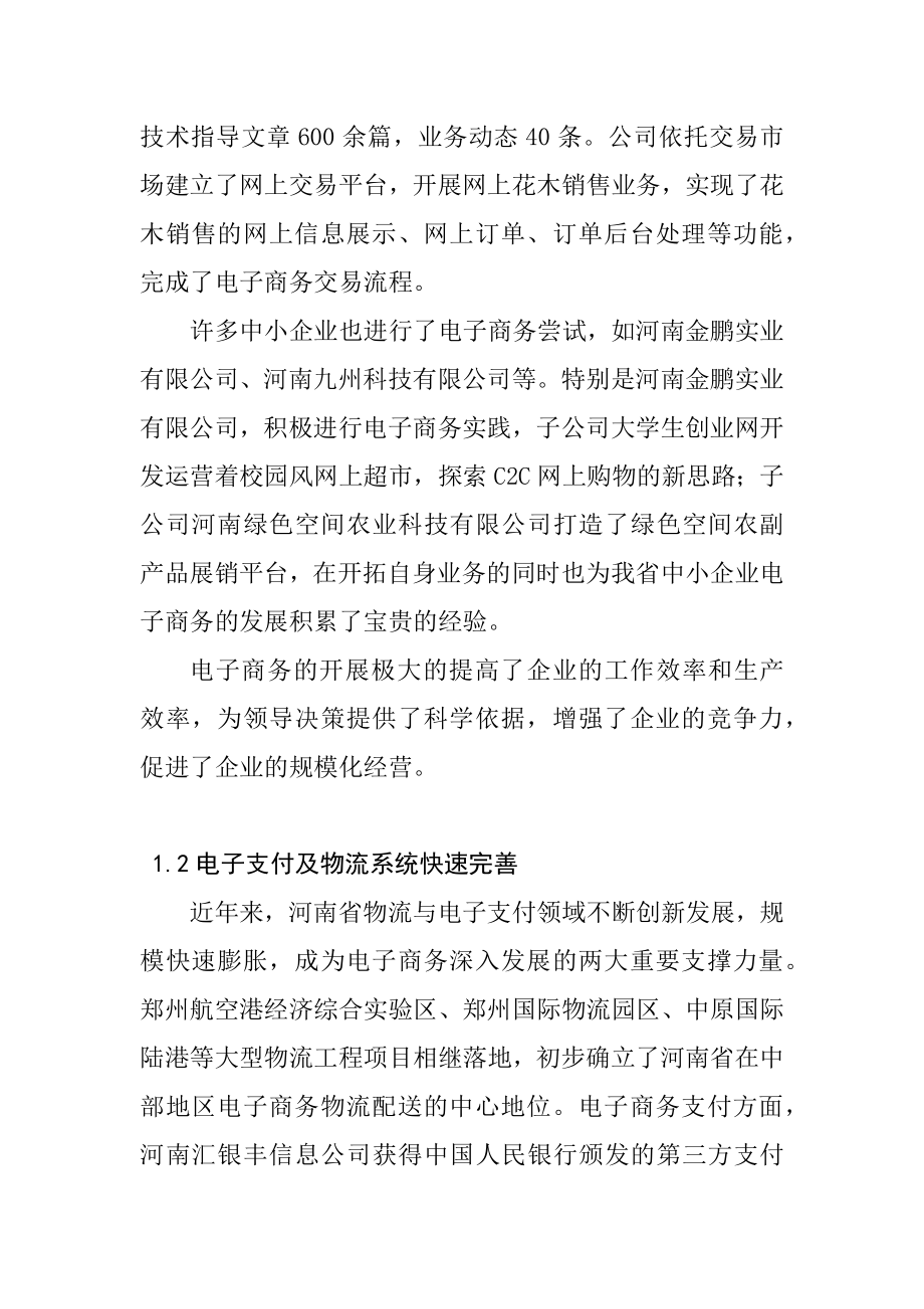 某省电子商务发展中存在的问题与对策公共管理专业.docx_第2页