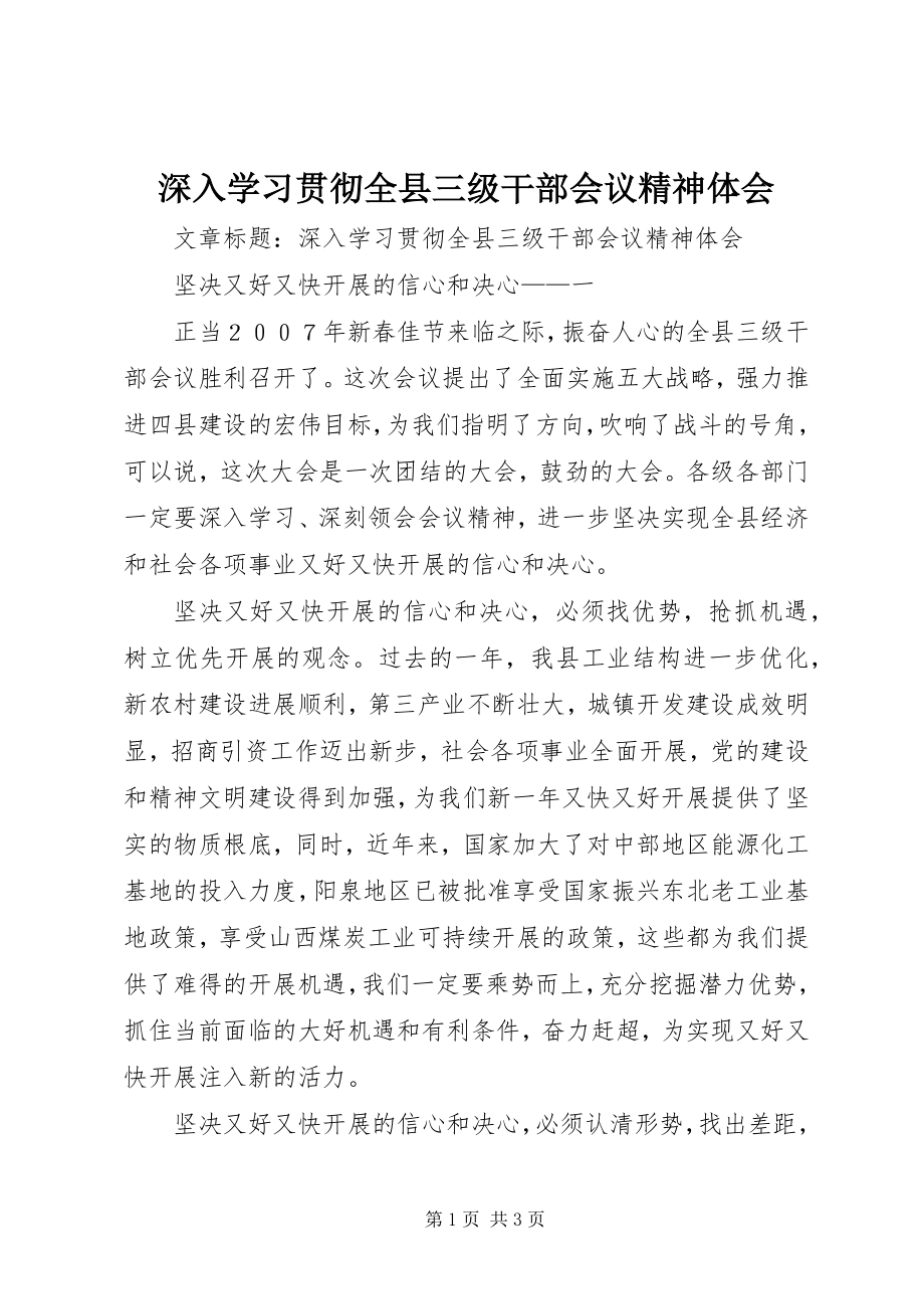 2023年深入学习贯彻全县三级干部会议精神体会.docx_第1页