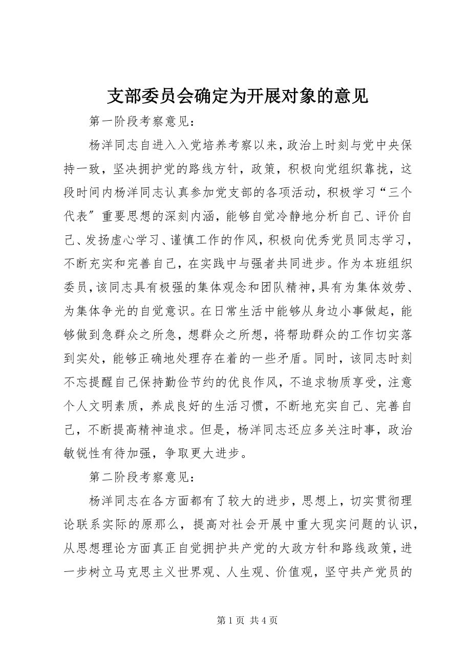 2023年支部委员会确定为发展对象的意见.docx_第1页