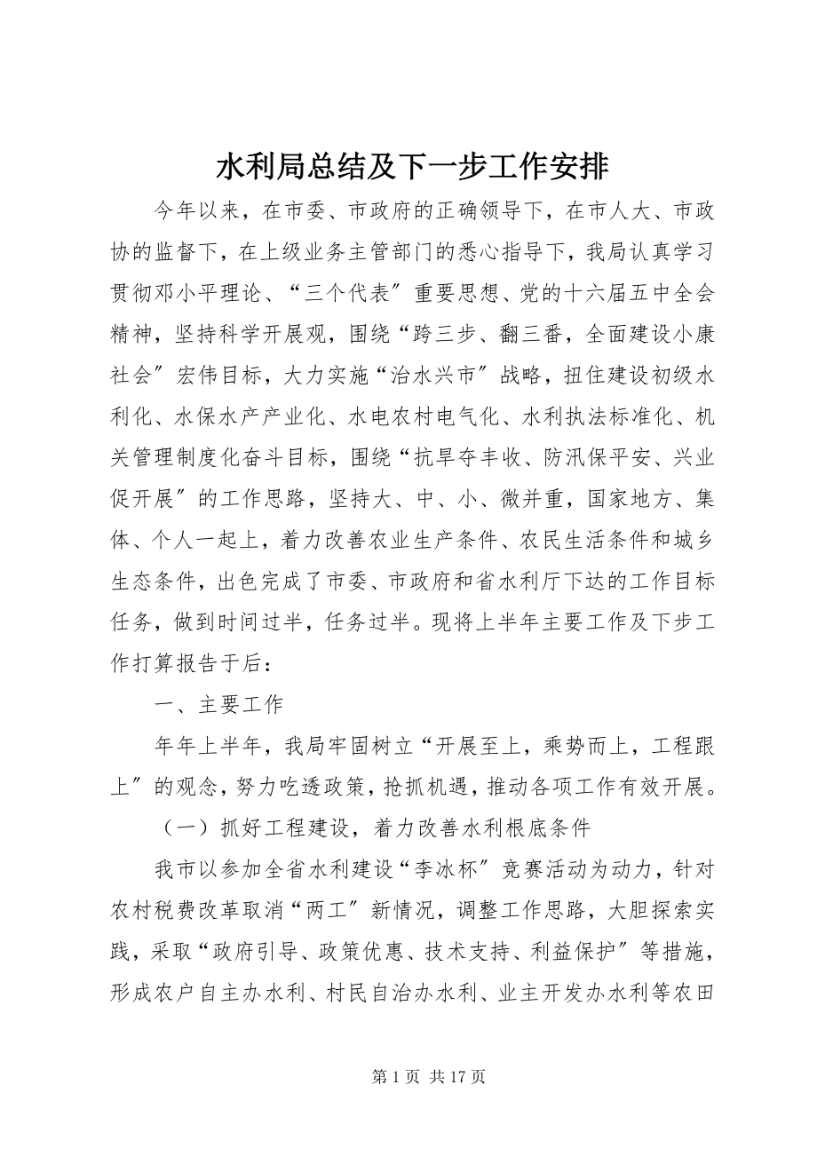 2023年水利局总结及下一步工作安排.docx_第1页