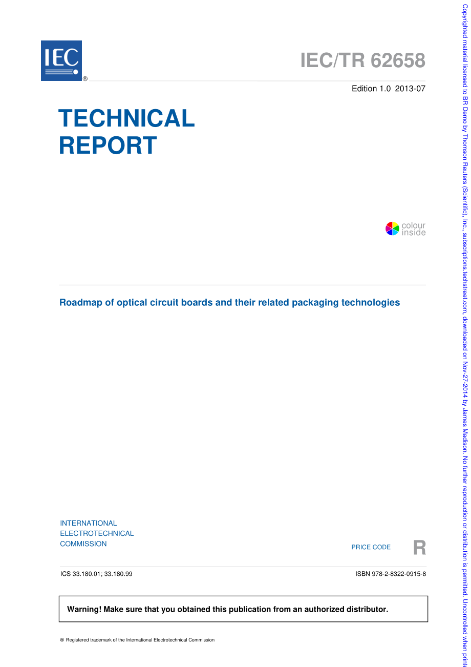 IEc_TR_62658-2013.pdf_第3页