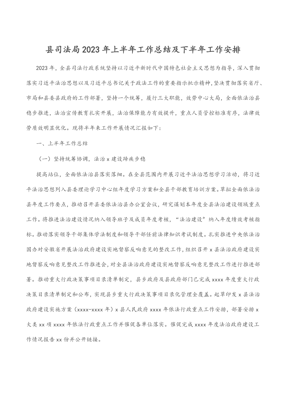 县司法局2023年上半年工作总结及下半年工作安排.docx_第1页