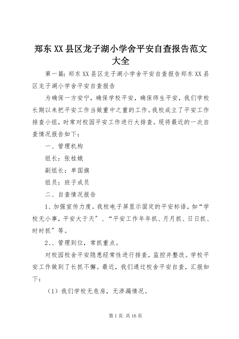 2023年郑东XX县区龙子湖小学舍安全自查报告大全.docx_第1页