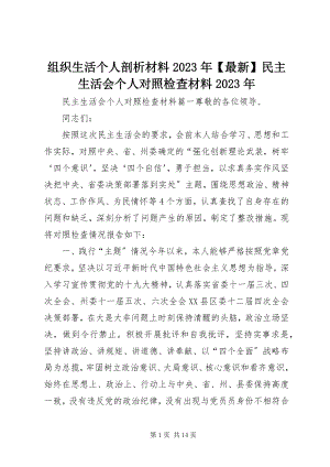 2023年组织生活个人剖析材料民主生活会个人对照检查材料.docx