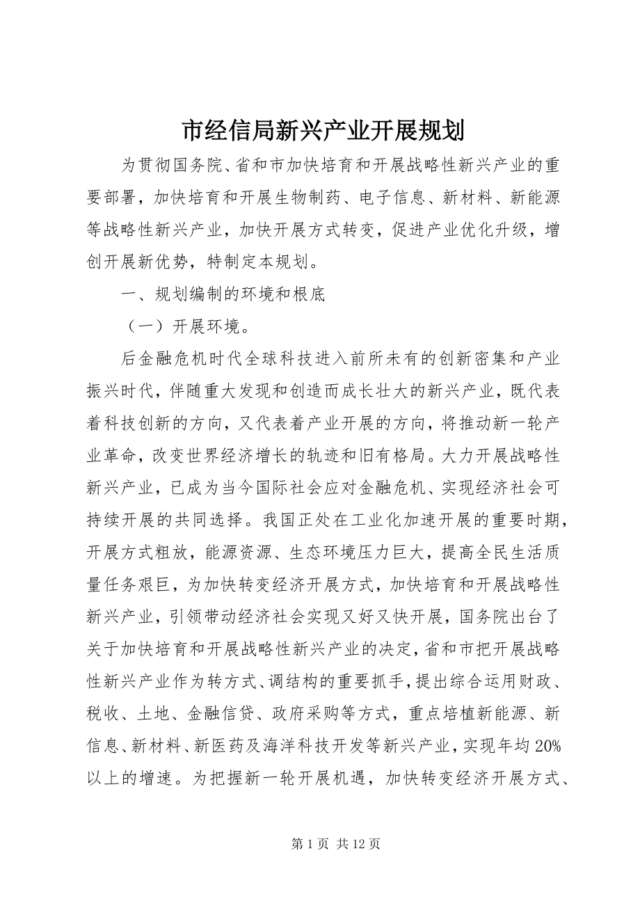 2023年市经信局新兴产业发展规划.docx_第1页