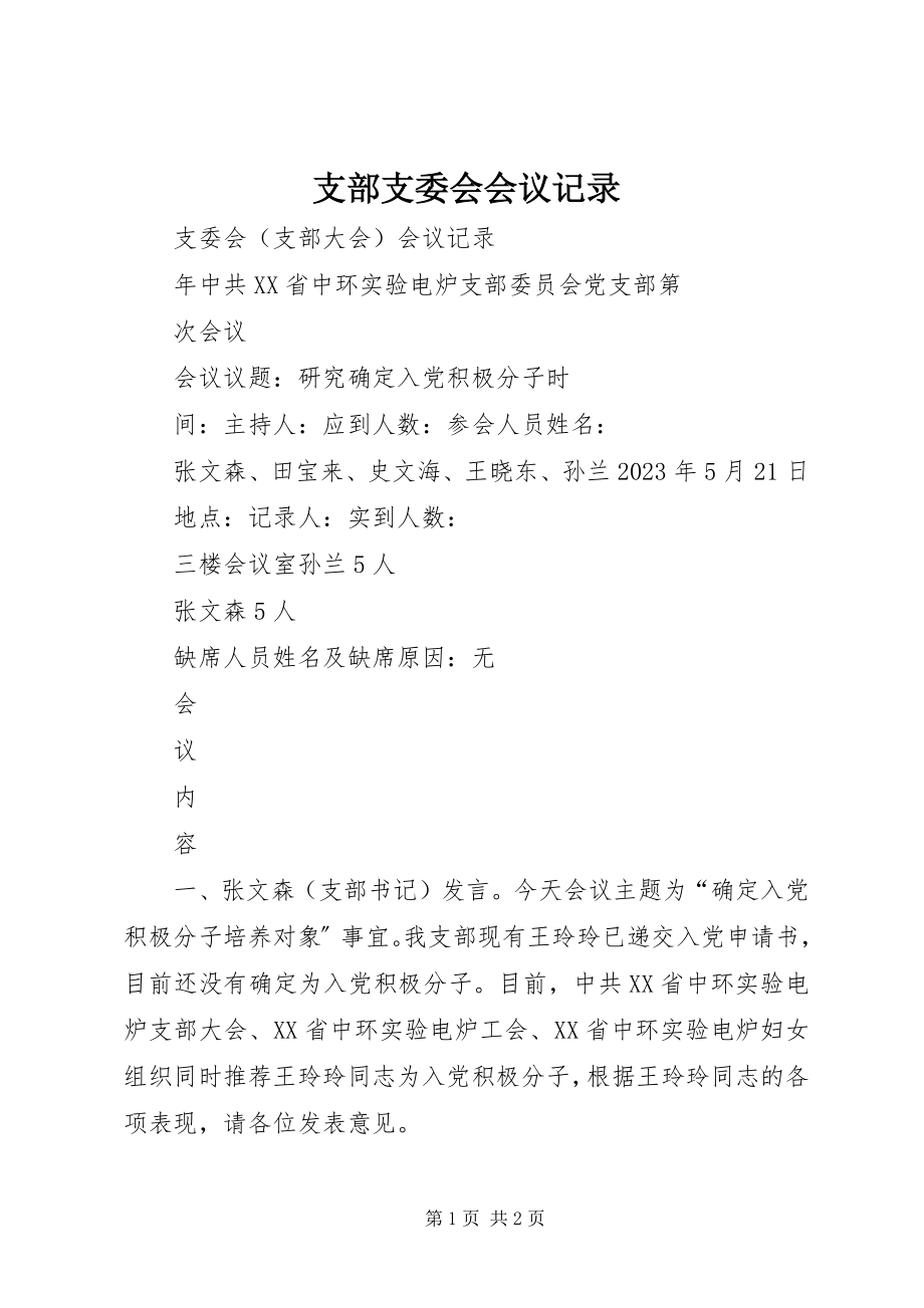 2023年支部支委会会议记录.docx_第1页