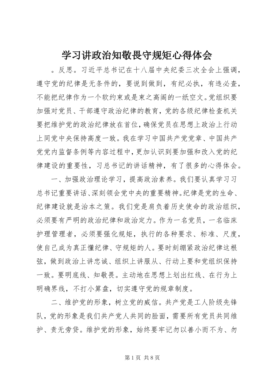 2023年学习讲政治知敬畏守规矩心得体会.docx_第1页