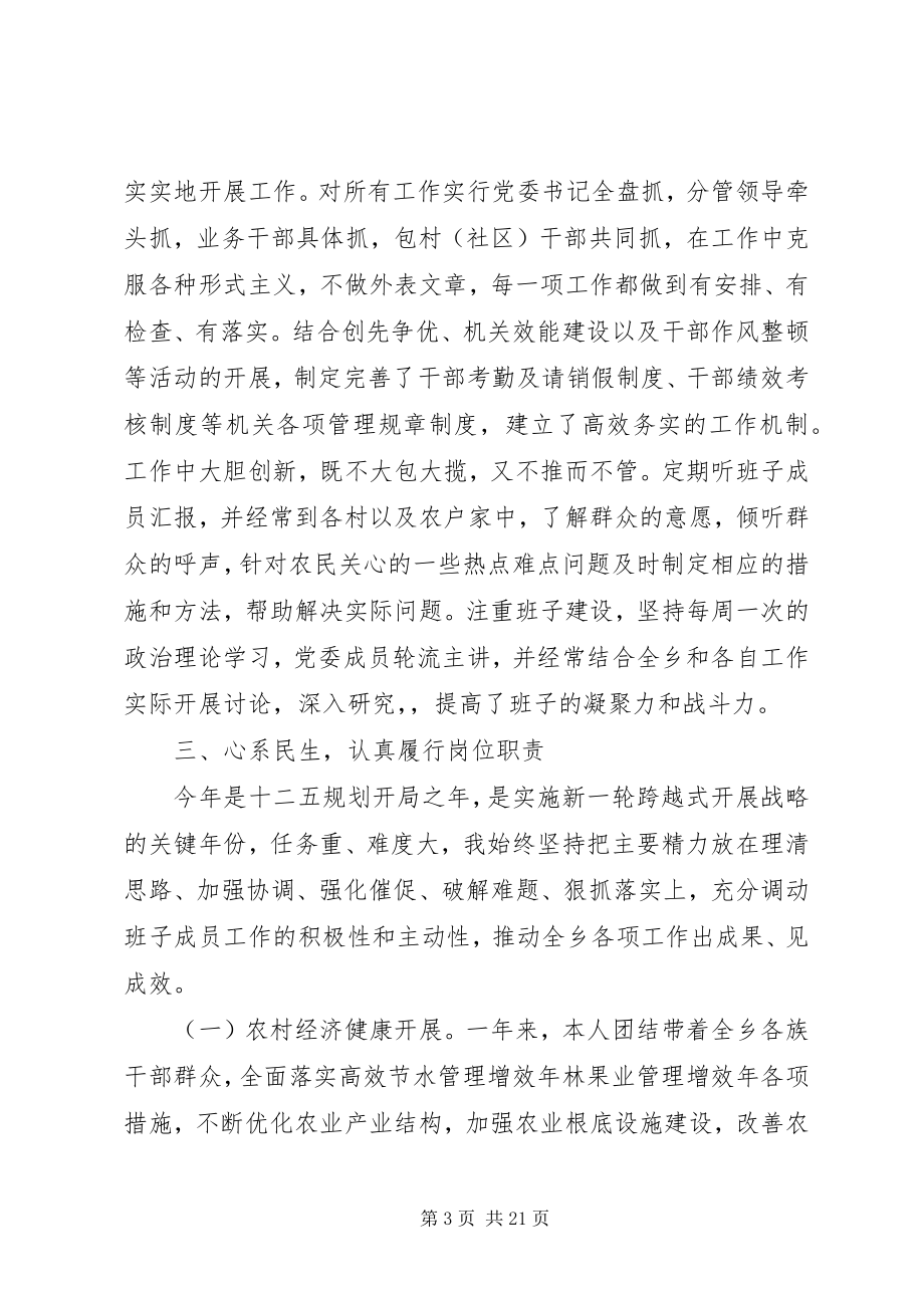 2023年乡镇长述职述廉报告2.docx_第3页