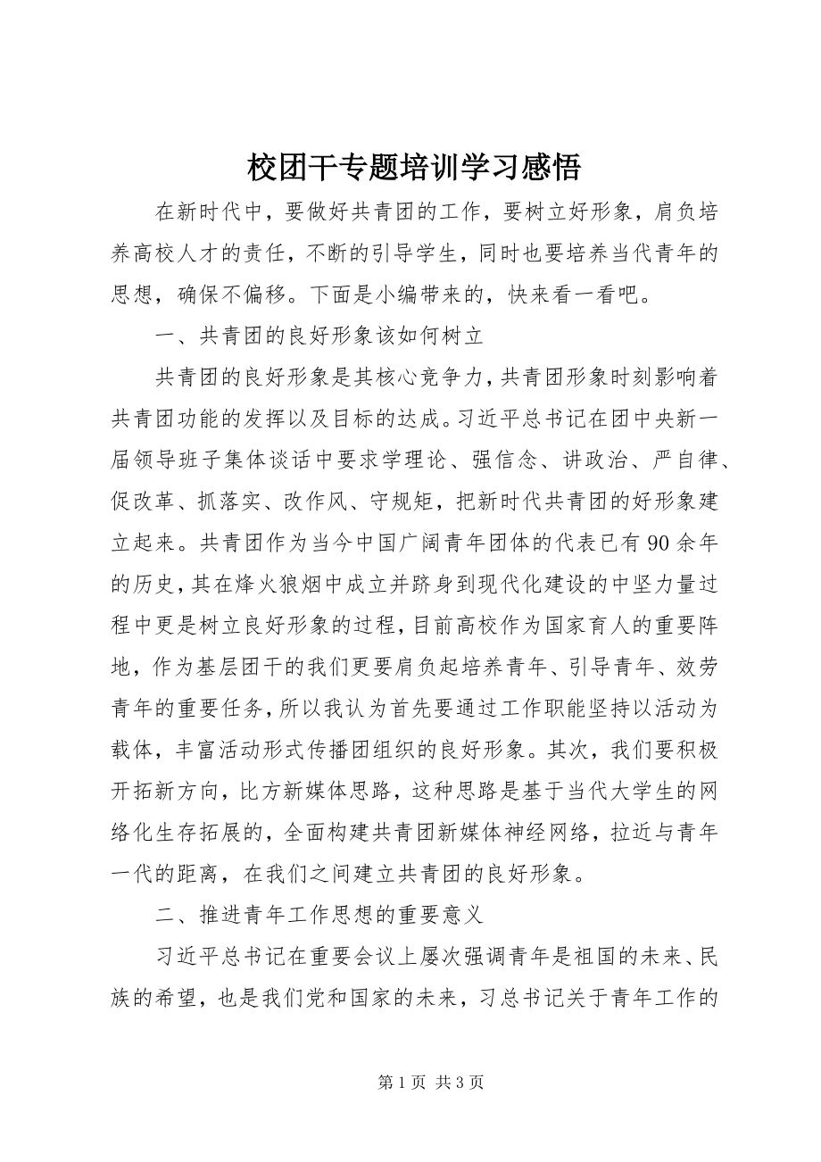 2023年校团干专题培训学习感悟.docx_第1页