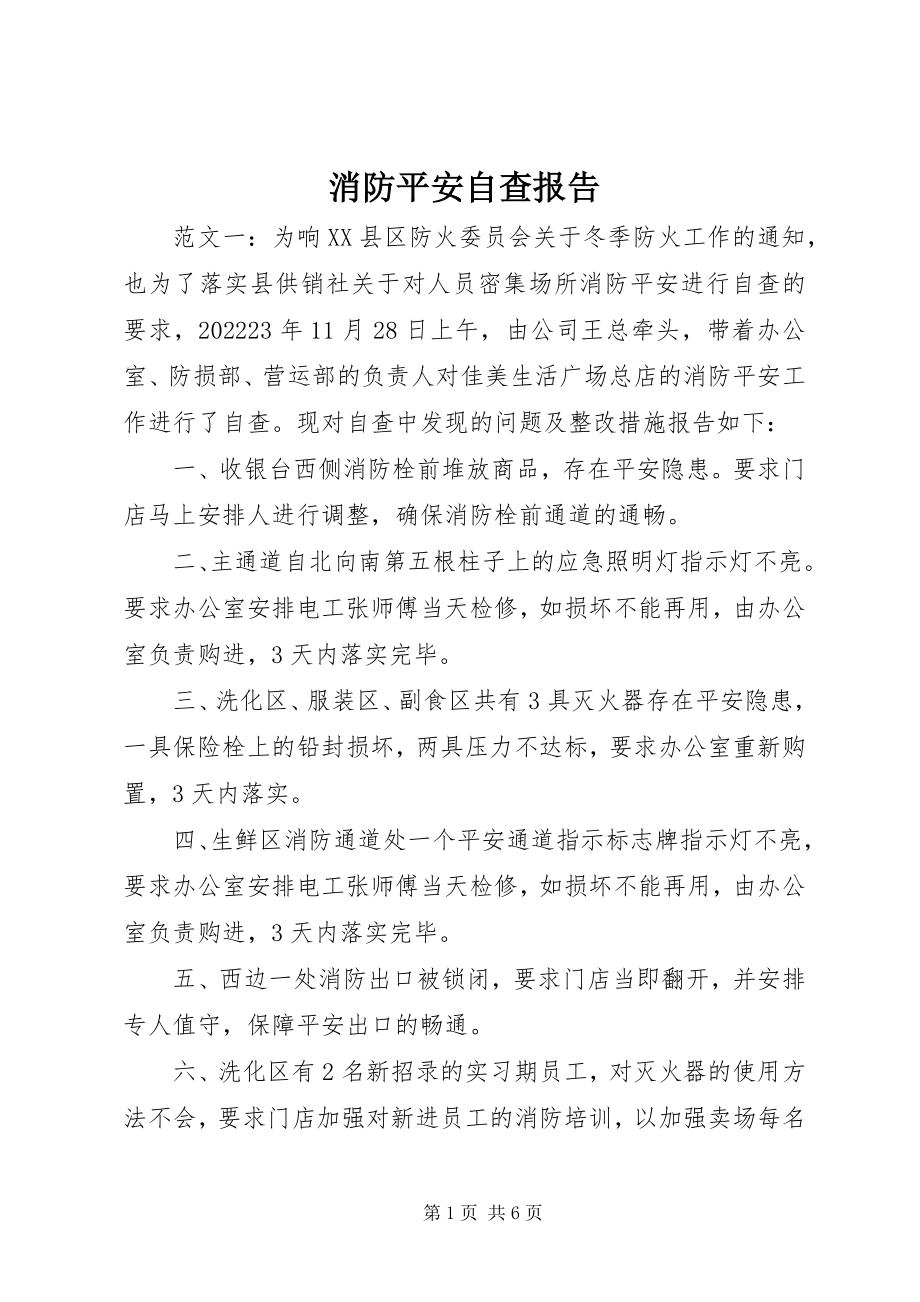 2023年消防安全自查报告.docx_第1页