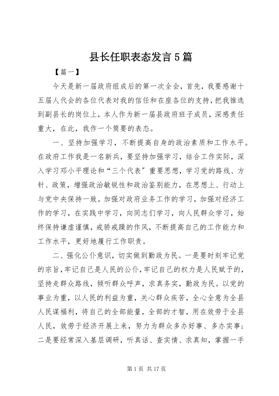 2023年县长任职表态讲话5篇.docx_第1页