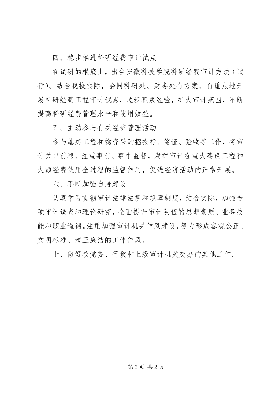 2023年学校年终审计工作计划.docx_第2页