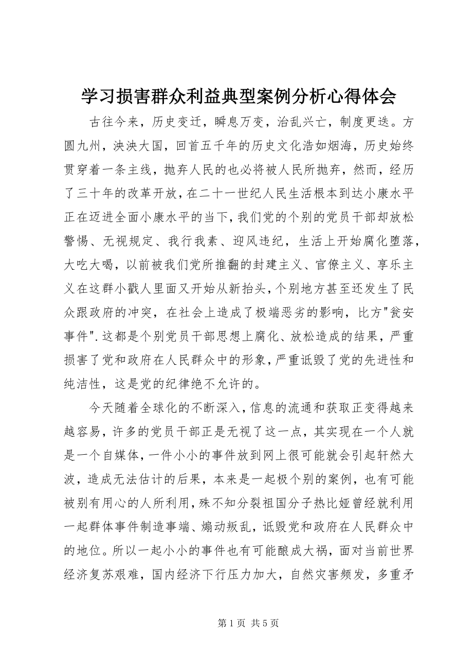 2023年学习《损害群众利益典型案例分析》心得体会.docx_第1页