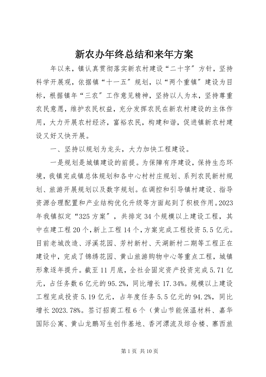 2023年新农办年终总结和来年计划.docx_第1页