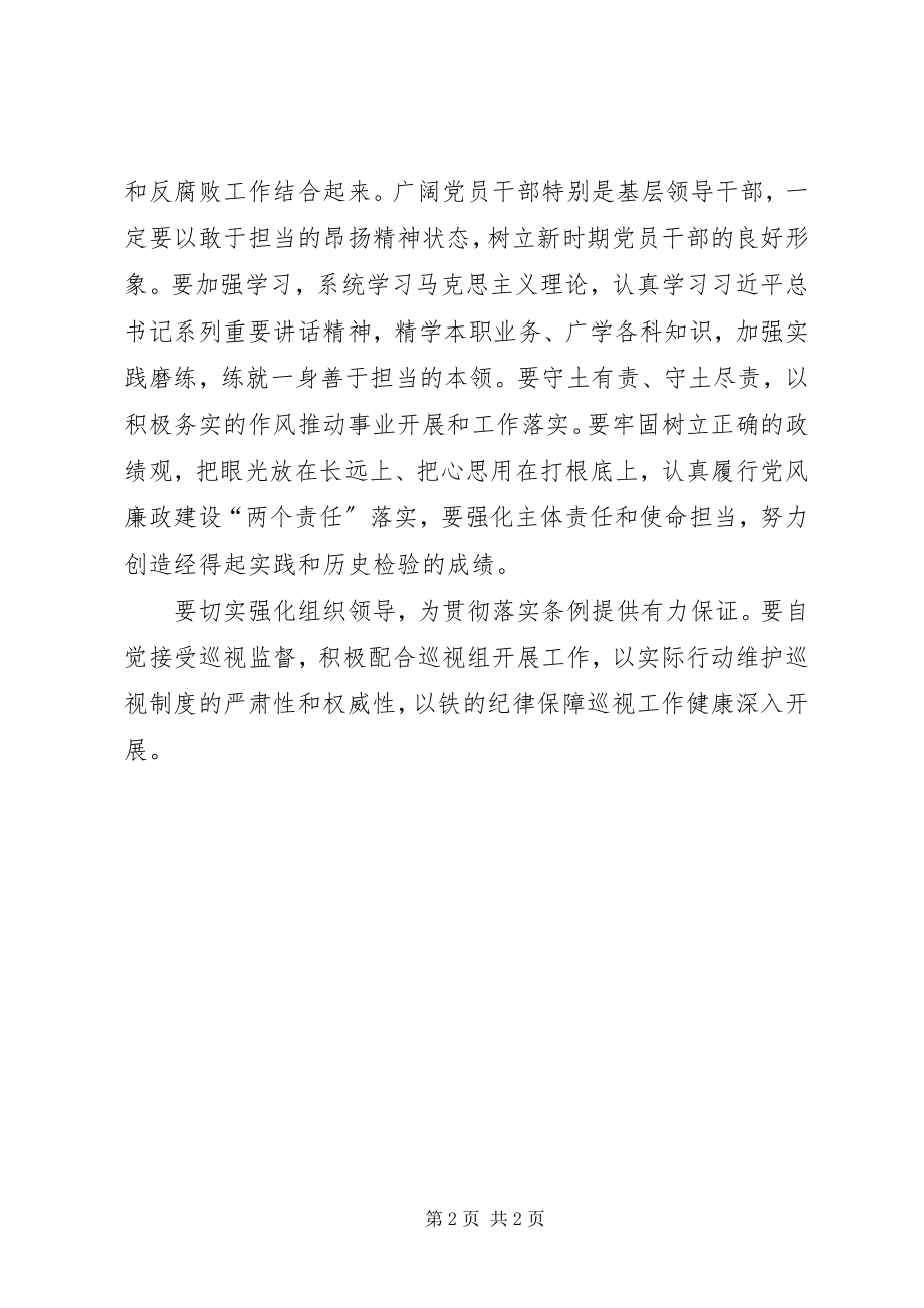 2023年学习贯彻巡视工作条例心得体会.docx_第2页