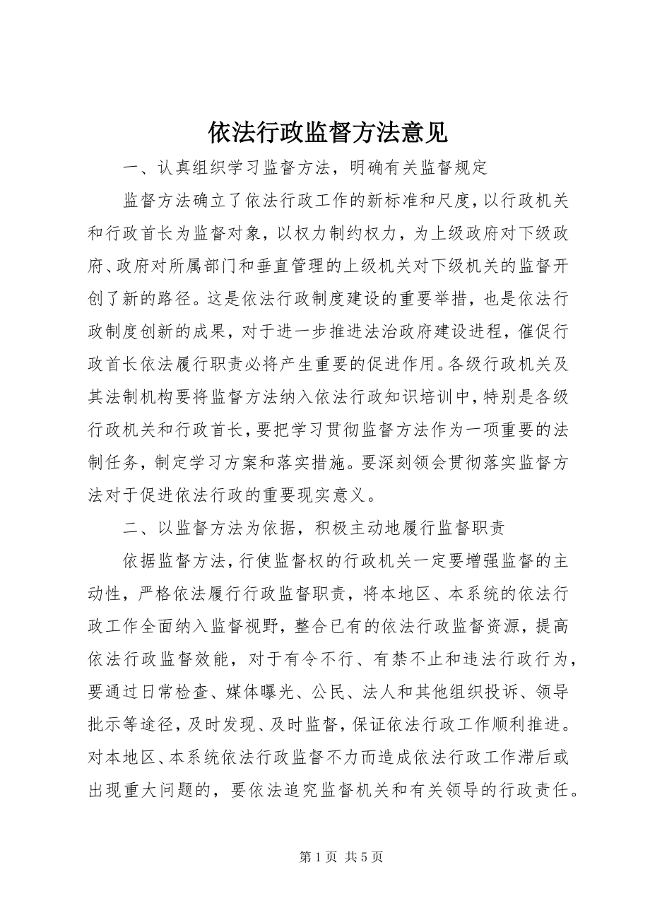 2023年依法行政监督办法意见.docx_第1页