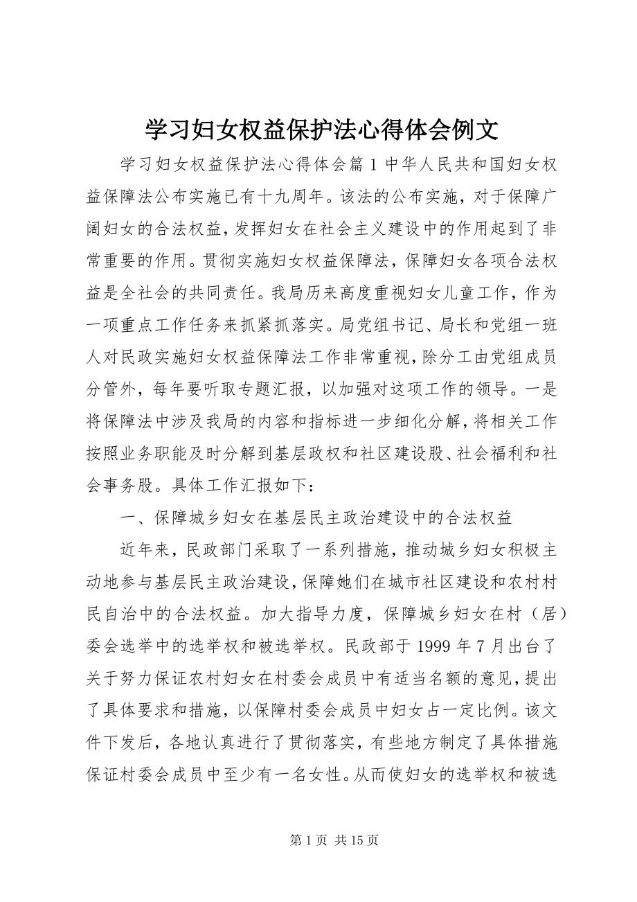 2023年学习妇女权益保护法心得体会例文.docx_第1页