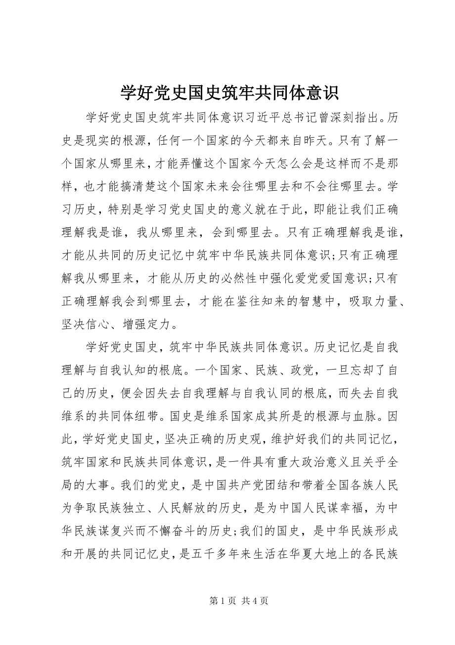 2023年学好党史国史筑牢共同体意识.docx_第1页