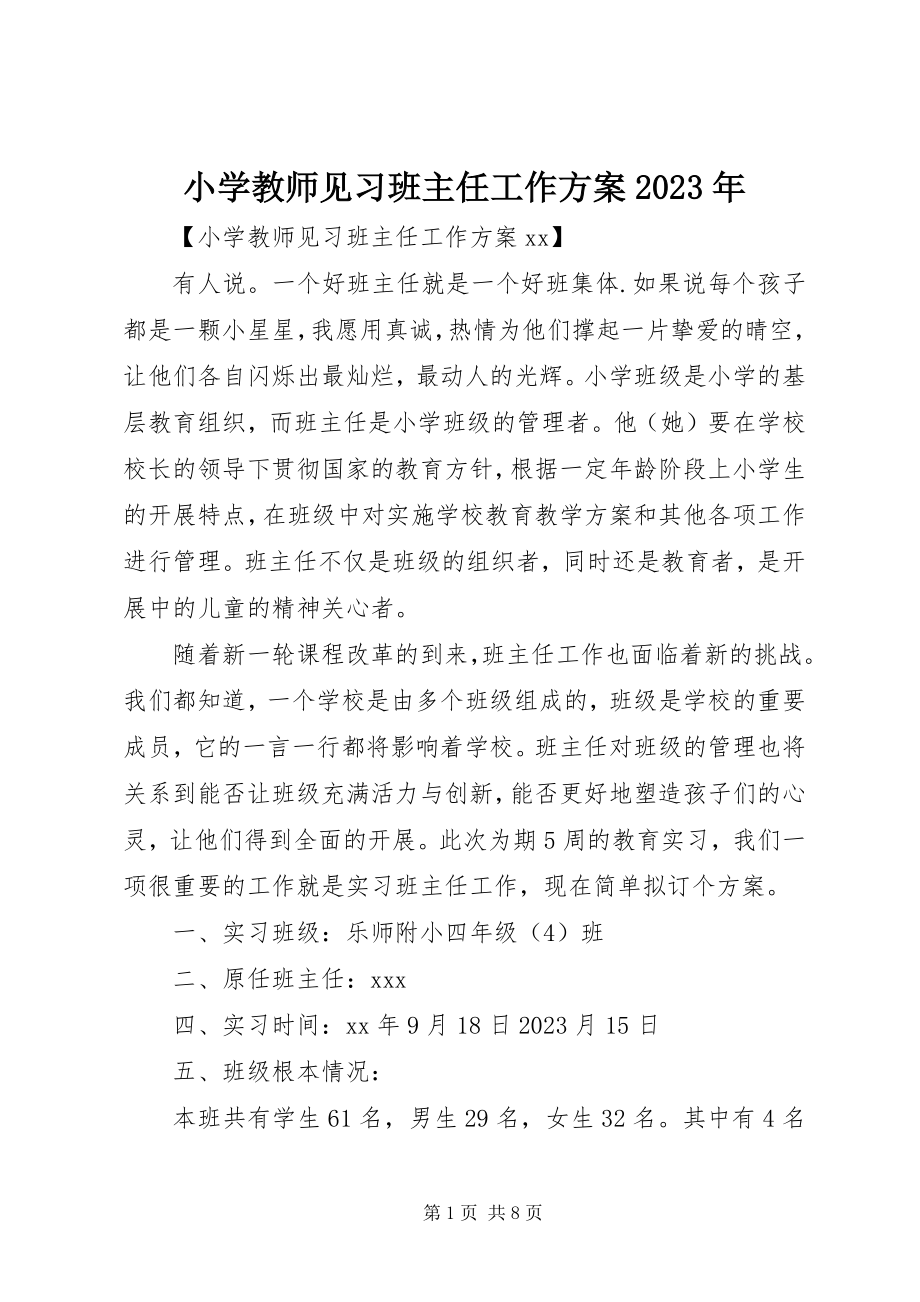 2023年小学教师见习班主任工作计划.docx_第1页