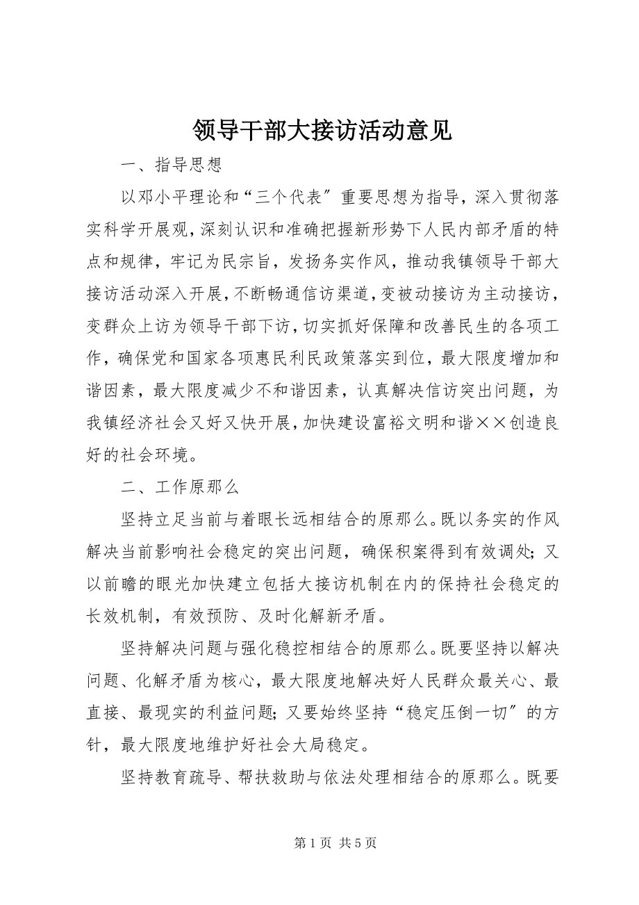 2023年领导干部大接访活动意见.docx_第1页