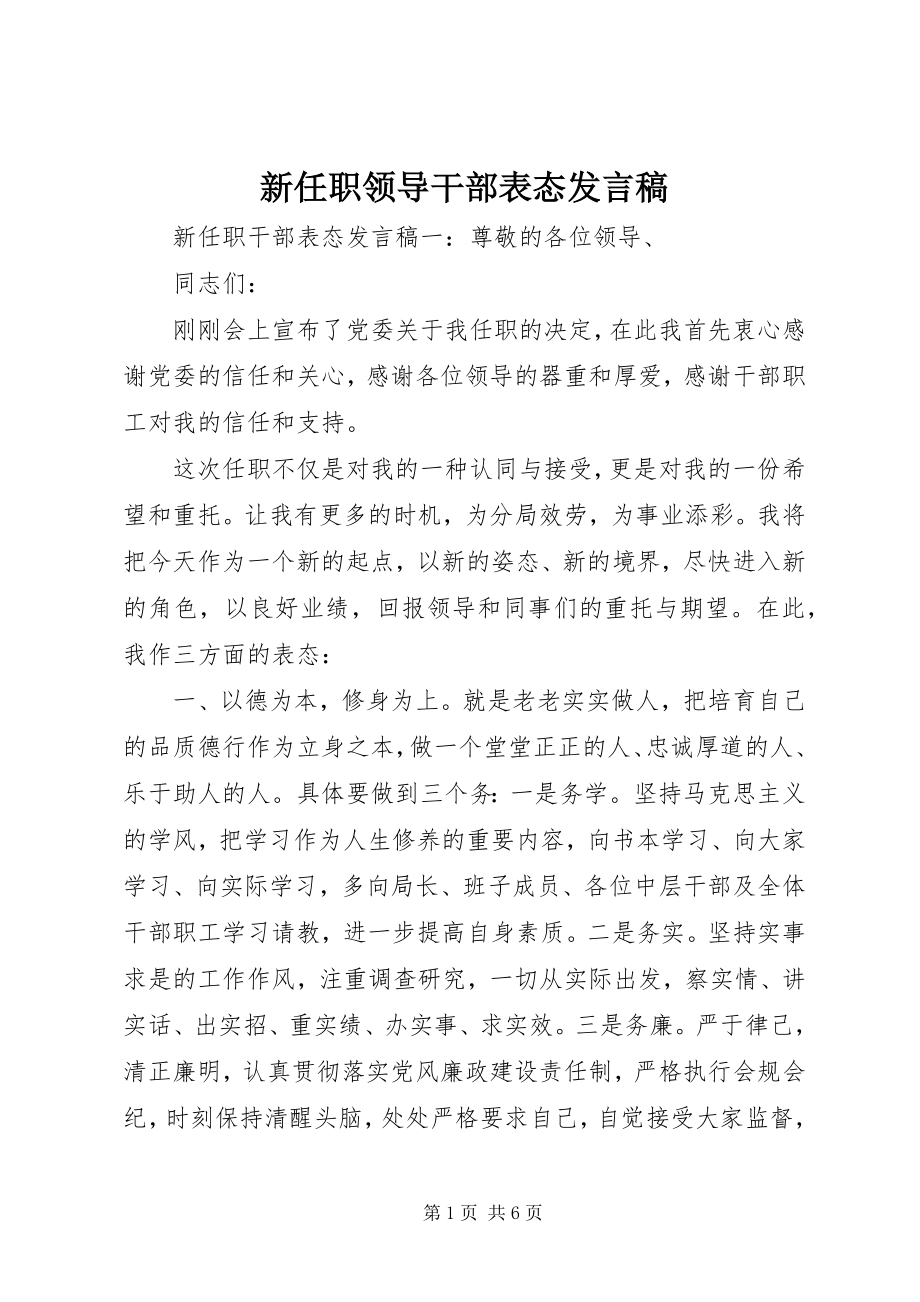 2023年新任职领导干部表态讲话稿.docx_第1页