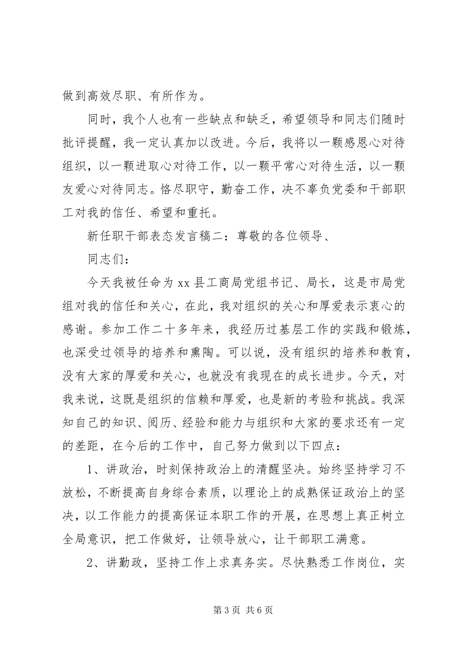 2023年新任职领导干部表态讲话稿.docx_第3页