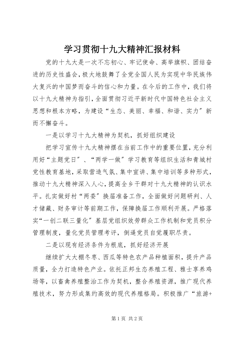 2023年学习贯彻十九大精神汇报材料.docx_第1页