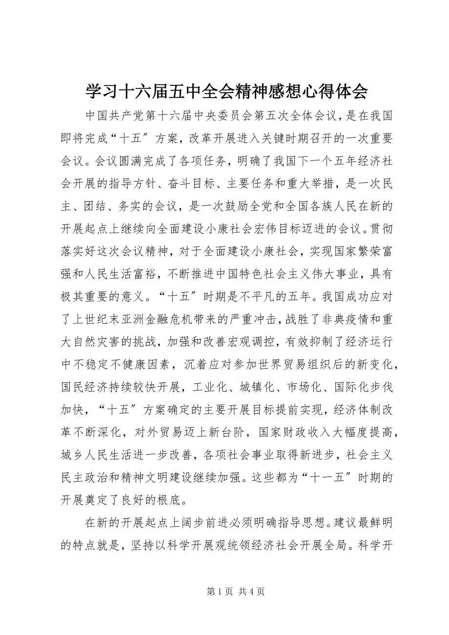 2023年学习十六届五中全会精神感想心得体会.docx_第1页