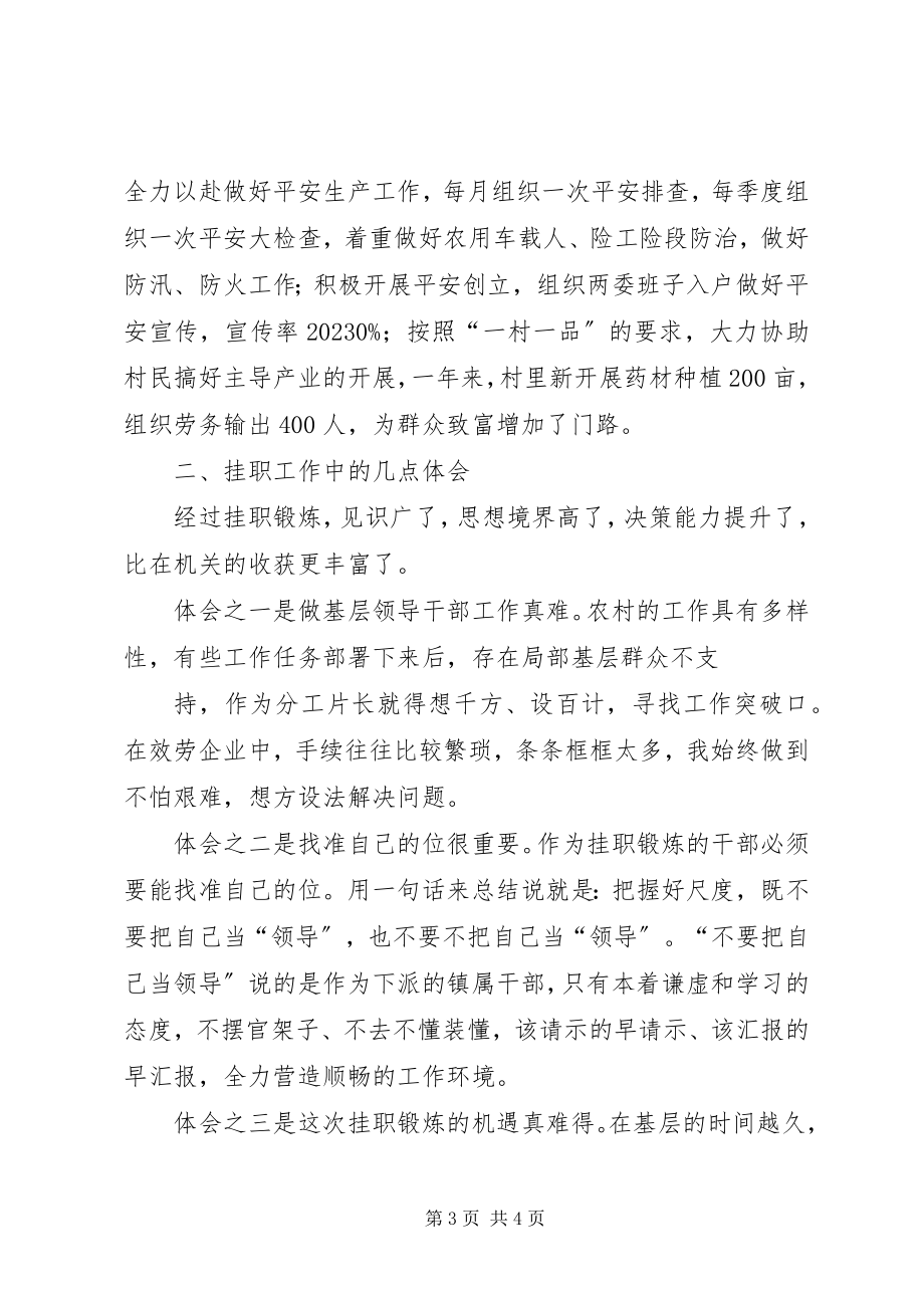 2023年徐忠华挂职干部工作总结材料.docx_第3页