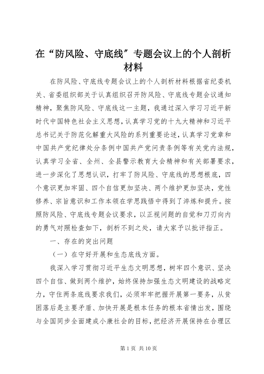 2023年在“防风险守底线”专题会议上的个人剖析材料.docx_第1页