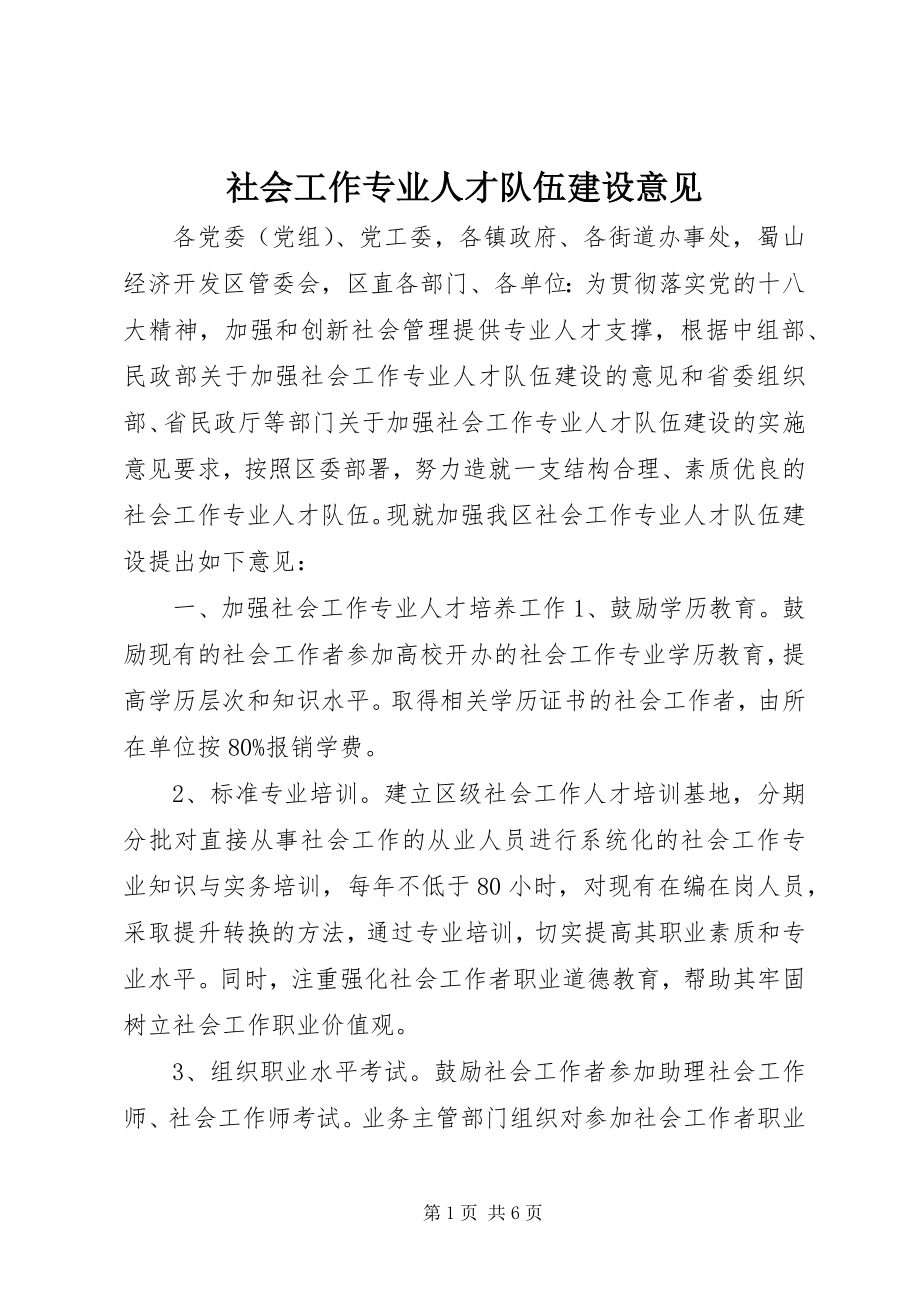 2023年社会工作专业人才队伍建设意见.docx_第1页