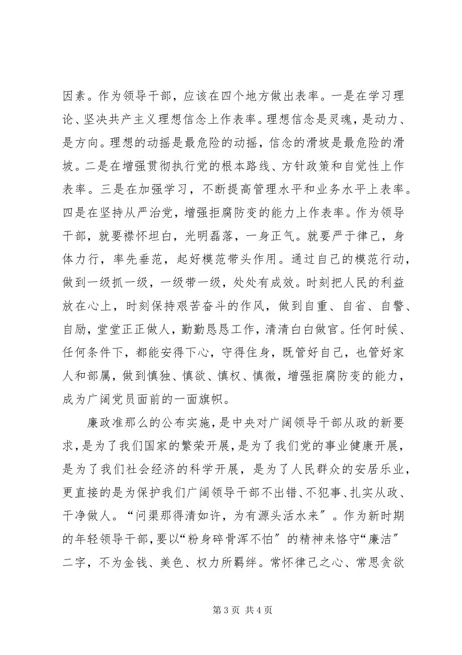 2023年领导干疗廉政治准则学习心得体会.docx_第3页