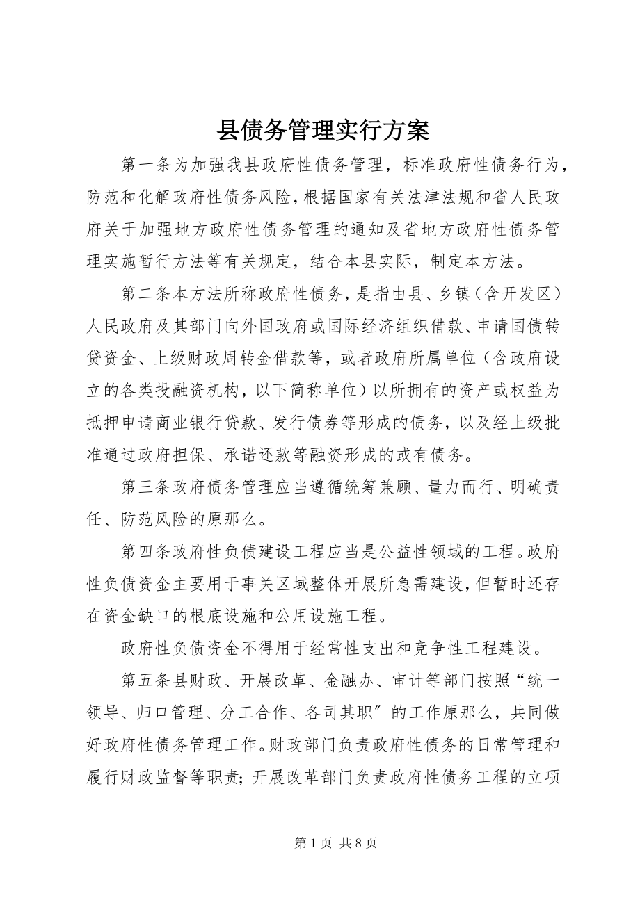 2023年县债务管理实行方案.docx_第1页